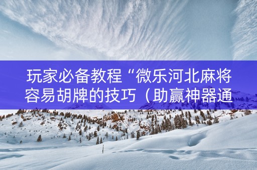 玩家必备教程“微乐河北麻将容易胡牌的技巧（助赢神器通用版）