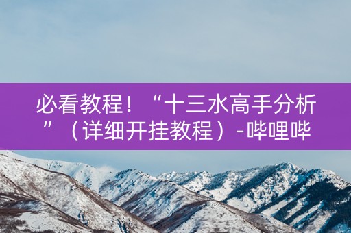 必看教程！“十三水高手分析”（详细开挂教程）-哔哩哔哩