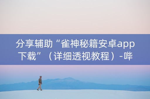 分享辅助“雀神秘籍安卓app下载”（详细透视教程）-哔哩哔哩