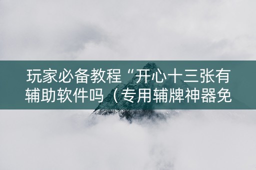 玩家必备教程“开心十三张有辅助软件吗（专用辅牌神器免安装）