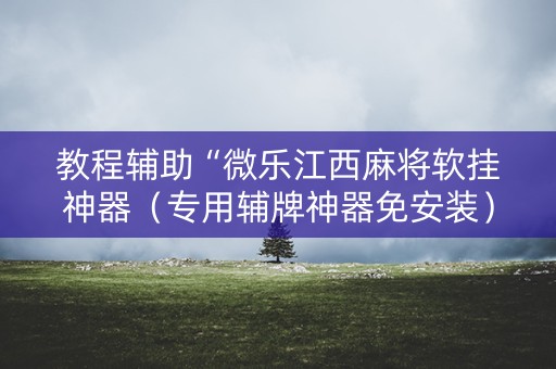 教程辅助“微乐江西麻将软挂神器（专用辅牌神器免安装）
