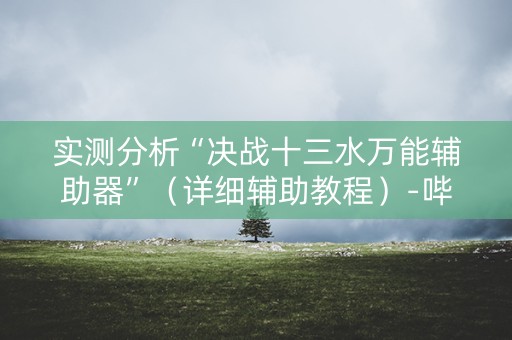 实测分析“决战十三水万能辅助器”（详细辅助教程）-哔哩哔哩