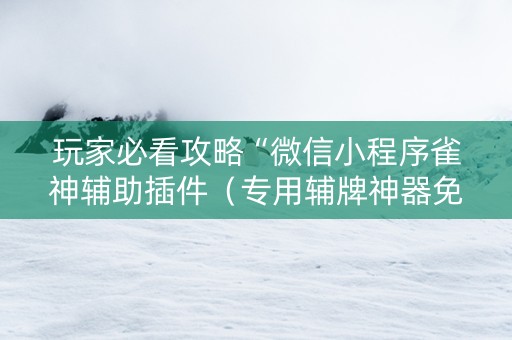 玩家必看攻略“微信小程序雀神辅助插件（专用辅牌神器免安装）