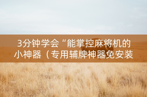 3分钟学会“能掌控麻将机的小神器（专用辅牌神器免安装）