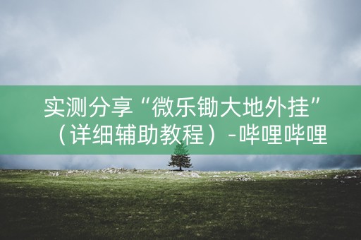 实测分享“微乐锄大地外挂”（详细辅助教程）-哔哩哔哩