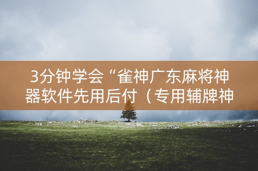 3分钟学会“雀神广东麻将神器软件先用后付（专用辅牌神器免安装）