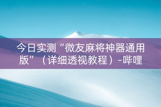 今日实测“微友麻将神器通用版”（详细透视教程）-哔哩哔哩