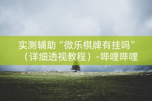 实测辅助“微乐棋牌有挂吗”（详细透视教程）-哔哩哔哩