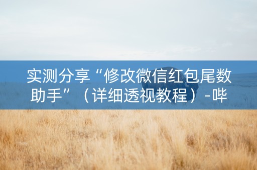 实测分享“修改微信红包尾数助手”（详细透视教程）-哔哩哔哩