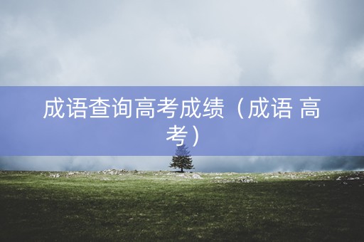 成语查询高考成绩（成语 高考）