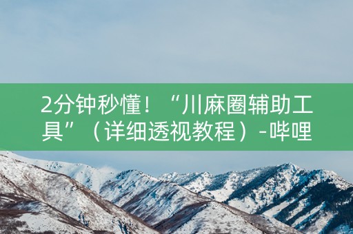 2分钟秒懂！“川麻圈辅助工具”（详细透视教程）-哔哩哔哩