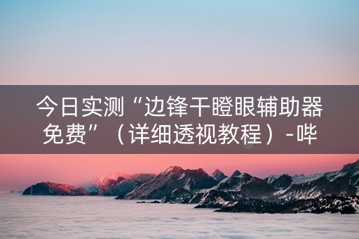 今日实测“边锋干瞪眼辅助器免费”（详细透视教程）-哔哩哔哩