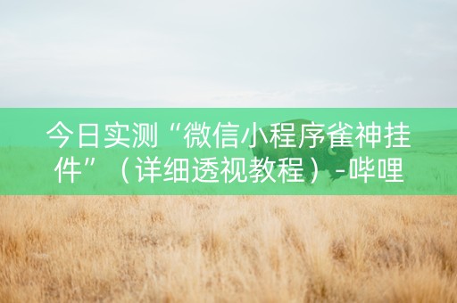 今日实测“微信小程序雀神挂件”（详细透视教程）-哔哩哔哩