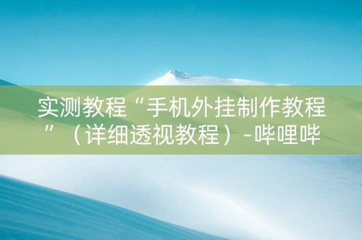 实测教程“手机外挂制作教程”（详细透视教程）-哔哩哔哩