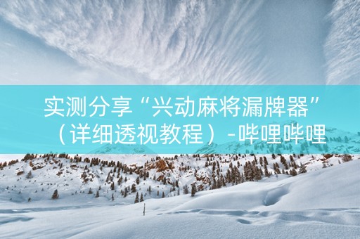 实测分享“兴动麻将漏牌器”（详细透视教程）-哔哩哔哩