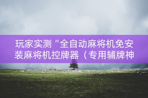 玩家实测“全自动麻将机免安装麻将机控牌器（专用辅牌神器免安装）
