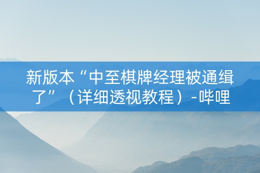 新版本“中至棋牌经理被通缉了”（详细透视教程）-哔哩哔哩