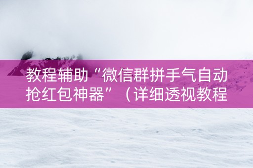 教程辅助“微信群拼手气自动抢红包神器”（详细透视教程）-哔哩哔哩
