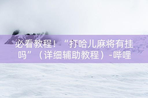 必看教程！“打哈儿麻将有挂吗”（详细辅助教程）-哔哩哔哩