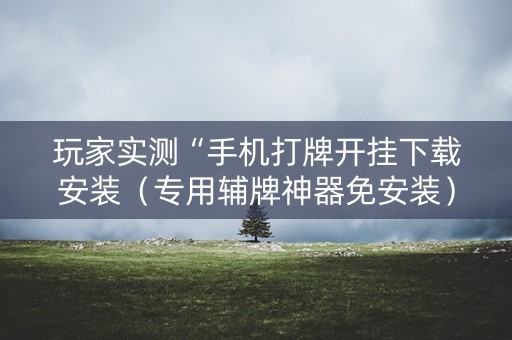 玩家实测“手机打牌开挂下载安装（专用辅牌神器免安装）