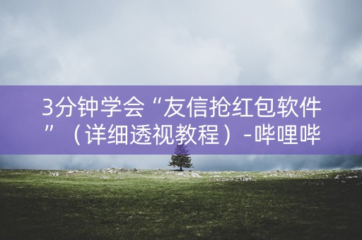 3分钟学会“友信抢红包软件”（详细透视教程）-哔哩哔哩