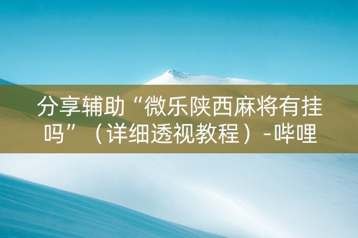 分享辅助“微乐陕西麻将有挂吗”（详细透视教程）-哔哩哔哩