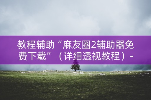 教程辅助“麻友圈2辅助器免费下载”（详细透视教程）-哔哩哔哩