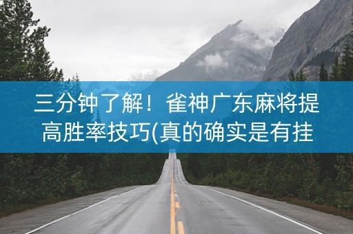 三分钟了解！雀神广东麻将提高胜率技巧(真的确实是有挂)