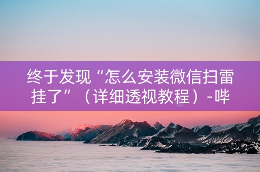 终于发现“怎么安装微信扫雷挂了”（详细透视教程）-哔哩哔哩