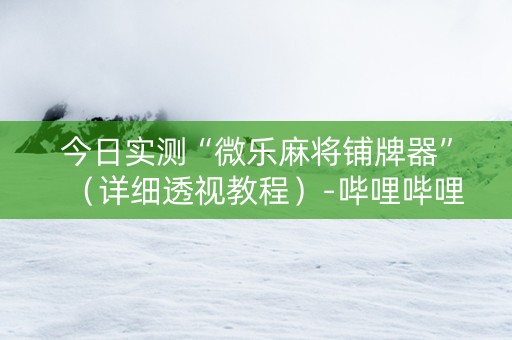 今日实测“微乐麻将铺牌器”（详细透视教程）-哔哩哔哩