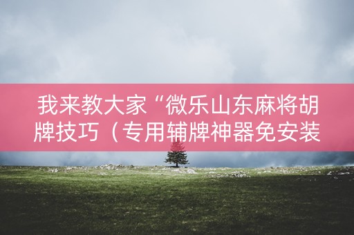 我来教大家“微乐山东麻将胡牌技巧（专用辅牌神器免安装）