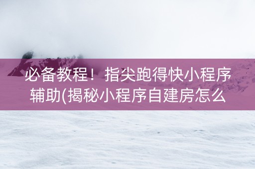 必备教程！指尖跑得快小程序辅助(揭秘小程序自建房怎么赢)