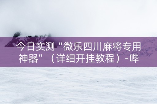 今日实测“微乐四川麻将专用神器”（详细开挂教程）-哔哩哔哩