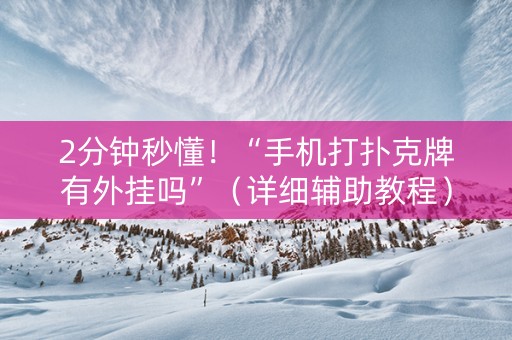 2分钟秒懂！“手机打扑克牌有外挂吗”（详细辅助教程）-哔哩哔哩
