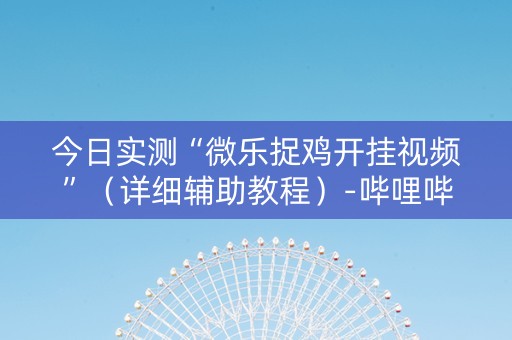 今日实测“微乐捉鸡开挂视频”（详细辅助教程）-哔哩哔哩