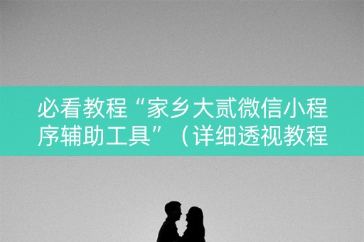 必看教程“家乡大贰微信小程序辅助工具”（详细透视教程）-哔哩哔哩