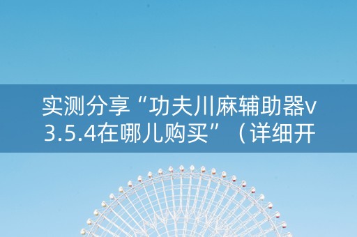 实测分享“功夫川麻辅助器v3.5.4在哪儿购买”（详细开挂教程）-哔哩哔哩