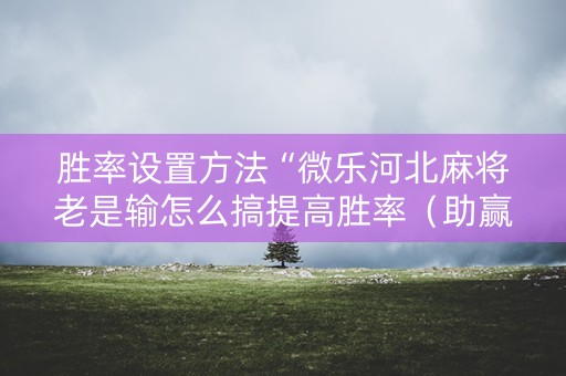 胜率设置方法“微乐河北麻将老是输怎么搞提高胜率（助赢神器通用版）
