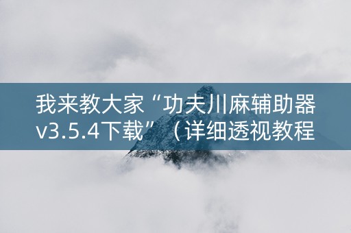 我来教大家“功夫川麻辅助器v3.5.4下载”（详细透视教程）-哔哩哔哩