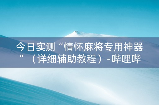 今日实测“情怀麻将专用神器”（详细辅助教程）-哔哩哔哩