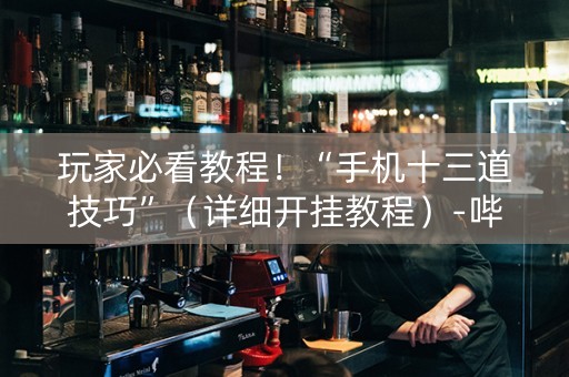 玩家必看教程！“手机十三道技巧”（详细开挂教程）-哔哩哔哩