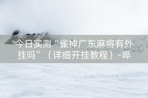 今日实测“雀神广东麻将有外挂吗”（详细开挂教程）-哔哩哔哩