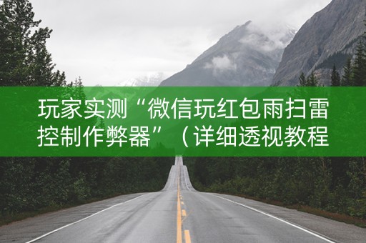 玩家实测“微信玩红包雨扫雷控制作弊器”（详细透视教程）-哔哩哔哩