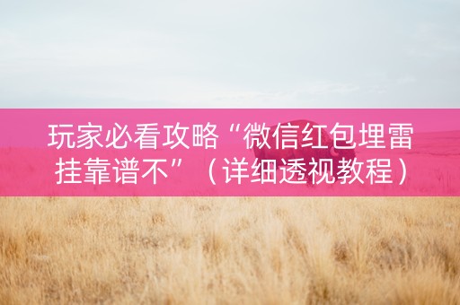 玩家必看攻略“微信红包埋雷挂靠谱不”（详细透视教程）-哔哩哔哩