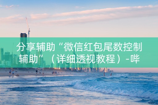 分享辅助“微信红包尾数控制辅助”（详细透视教程）-哔哩哔哩