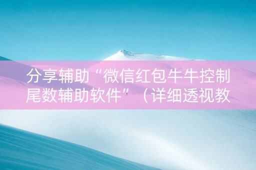 分享辅助“微信红包牛牛控制尾数辅助软件”（详细透视教程）-哔哩哔哩