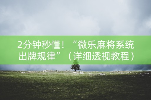 2分钟秒懂！“微乐麻将系统出牌规律”（详细透视教程）-哔哩哔哩