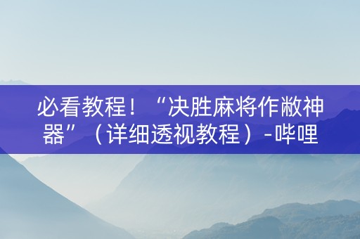 必看教程！“决胜麻将作敝神器”（详细透视教程）-哔哩哔哩