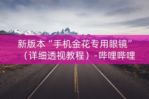 新版本“手机金花专用眼镜”（详细透视教程）-哔哩哔哩