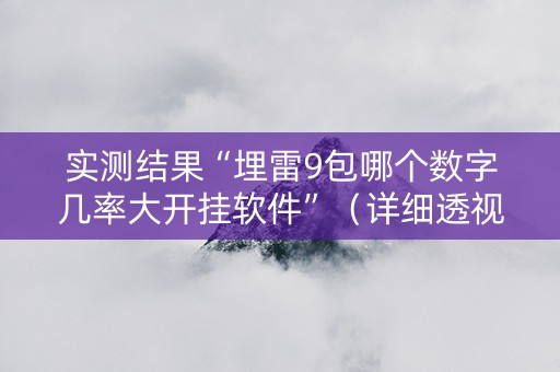 实测结果“埋雷9包哪个数字几率大开挂软件”（详细透视教程）-哔哩哔哩